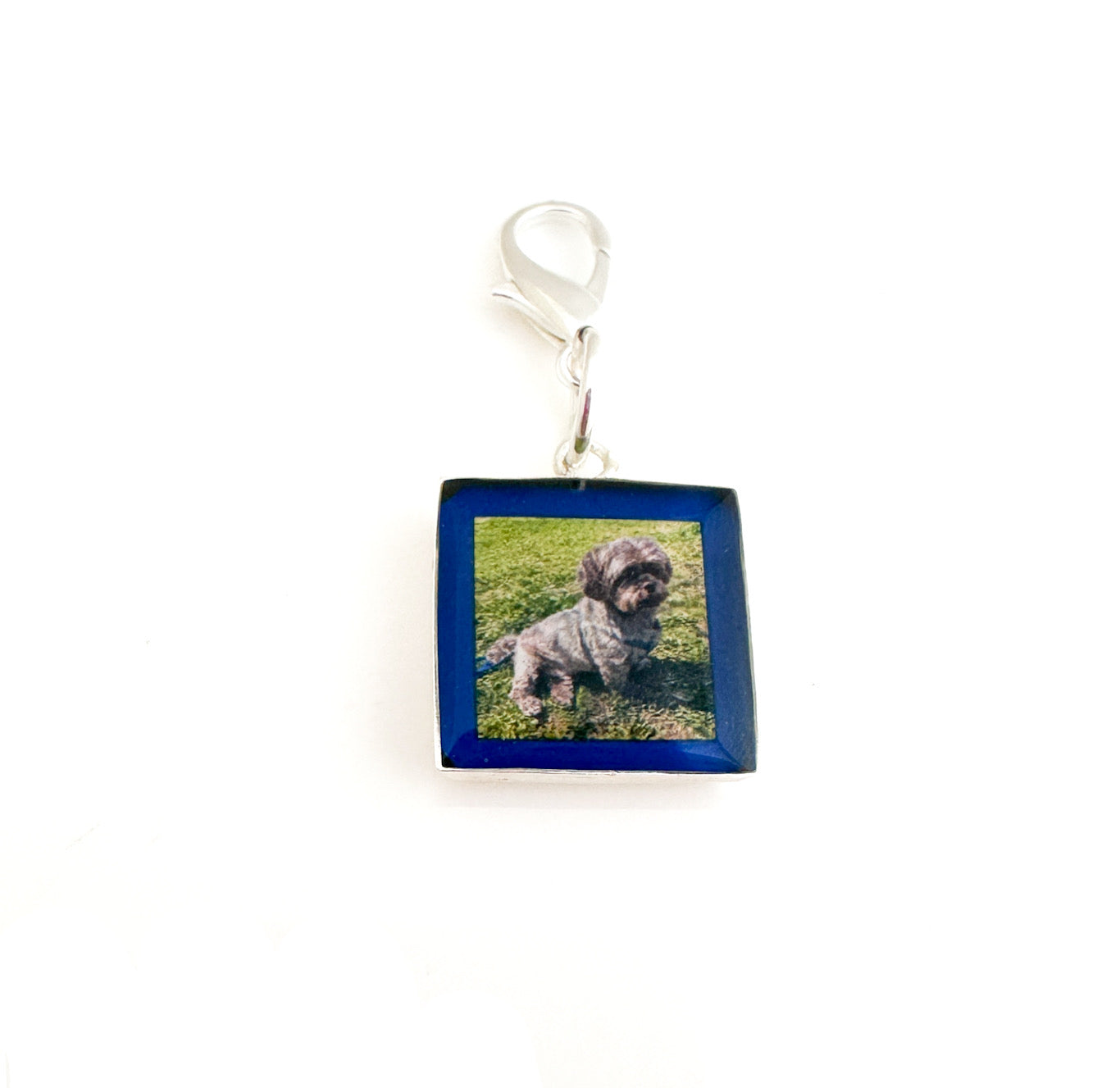 Pet Charm MWYA