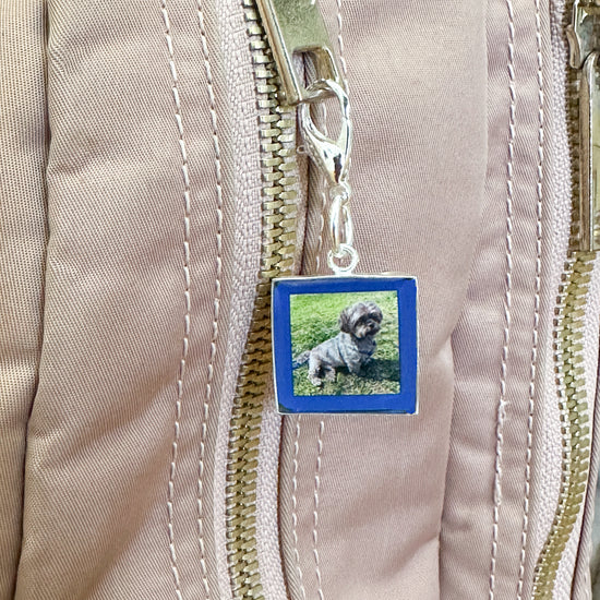Pet Charm MWYA