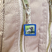 Charm in silver plated with pet photo inside